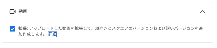 P-MAXキャンペーン拡張動画機能