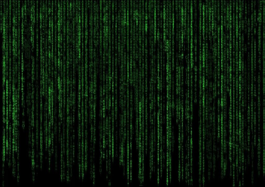 動的構造化スニペット表示オプション