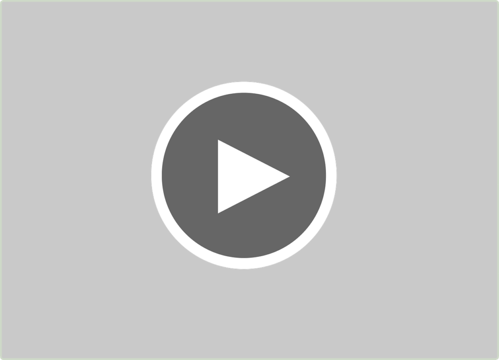 インストリーム動画配信もフリークアウトDSP（Red）を活用して広告配信